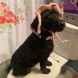 Crochet cat or small dog hat! 🥰